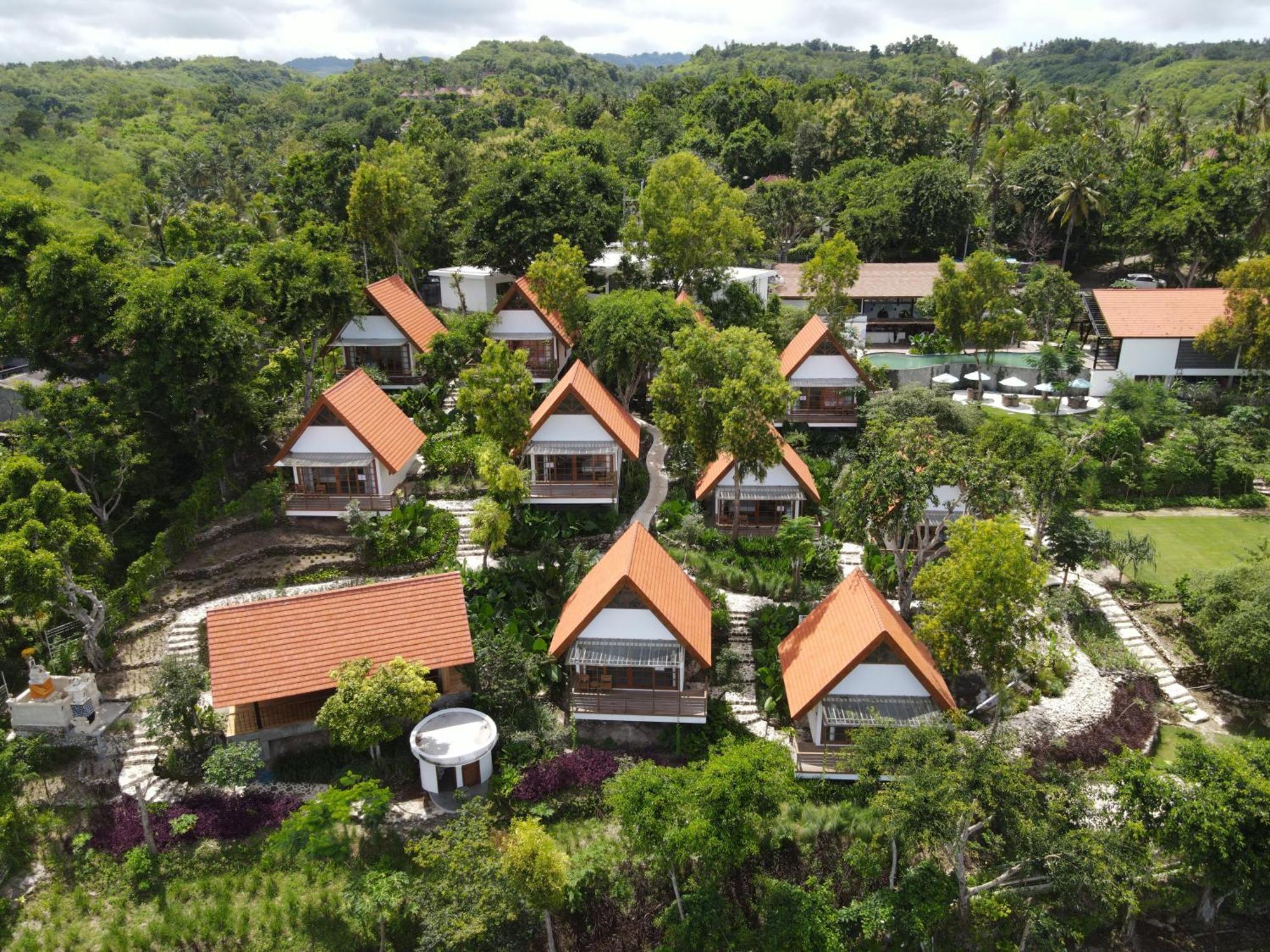 Deep Roots Dive & Yoga Resort Ped Extérieur photo
