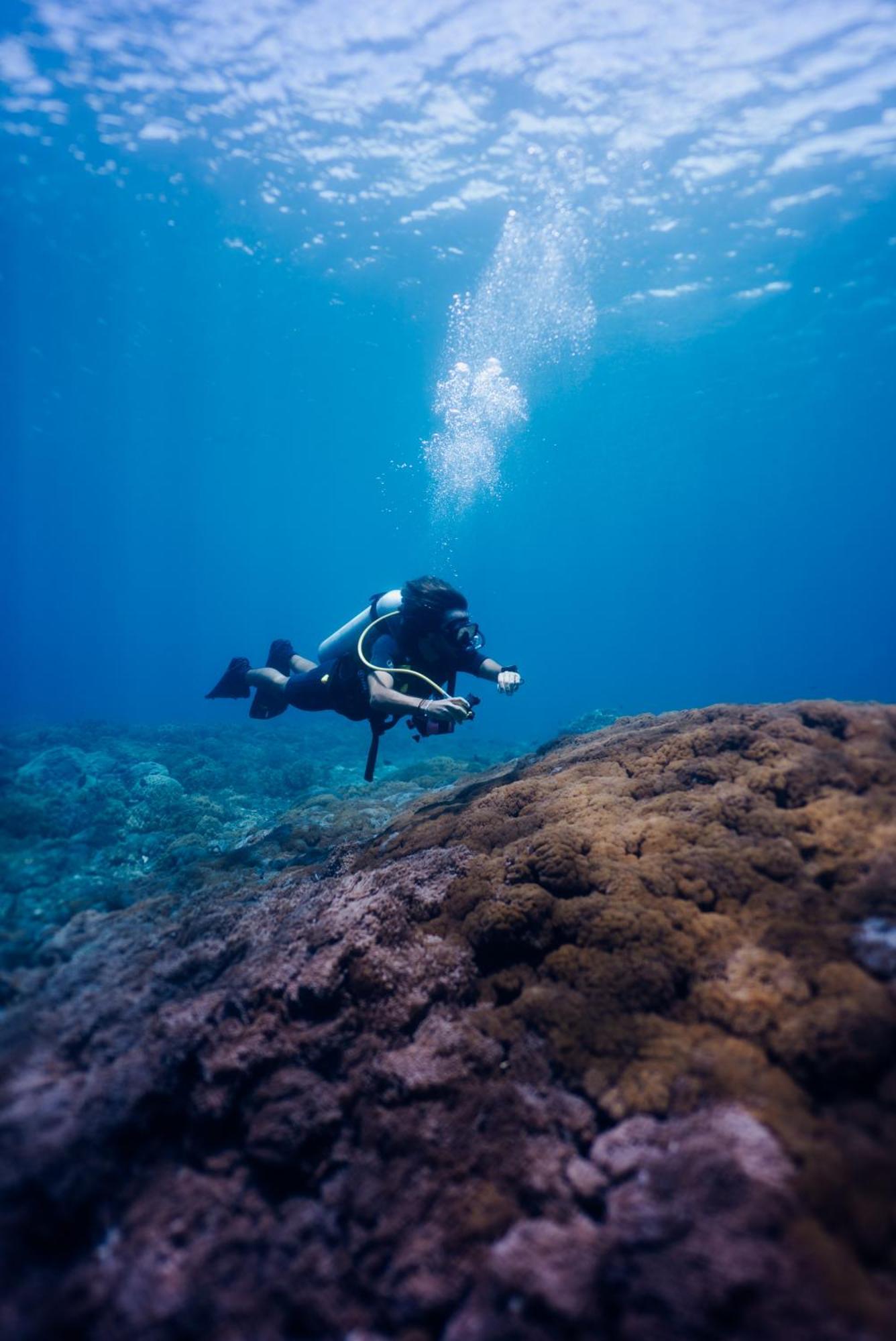 Deep Roots Dive & Yoga Resort Ped Extérieur photo